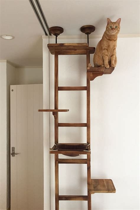 hang cat box on a metal pole|diy shelving to cat tower.